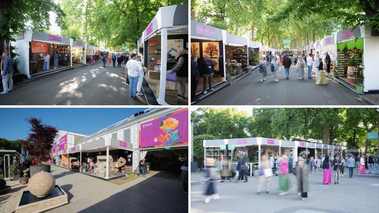 RHS Chelsea - Solutions2