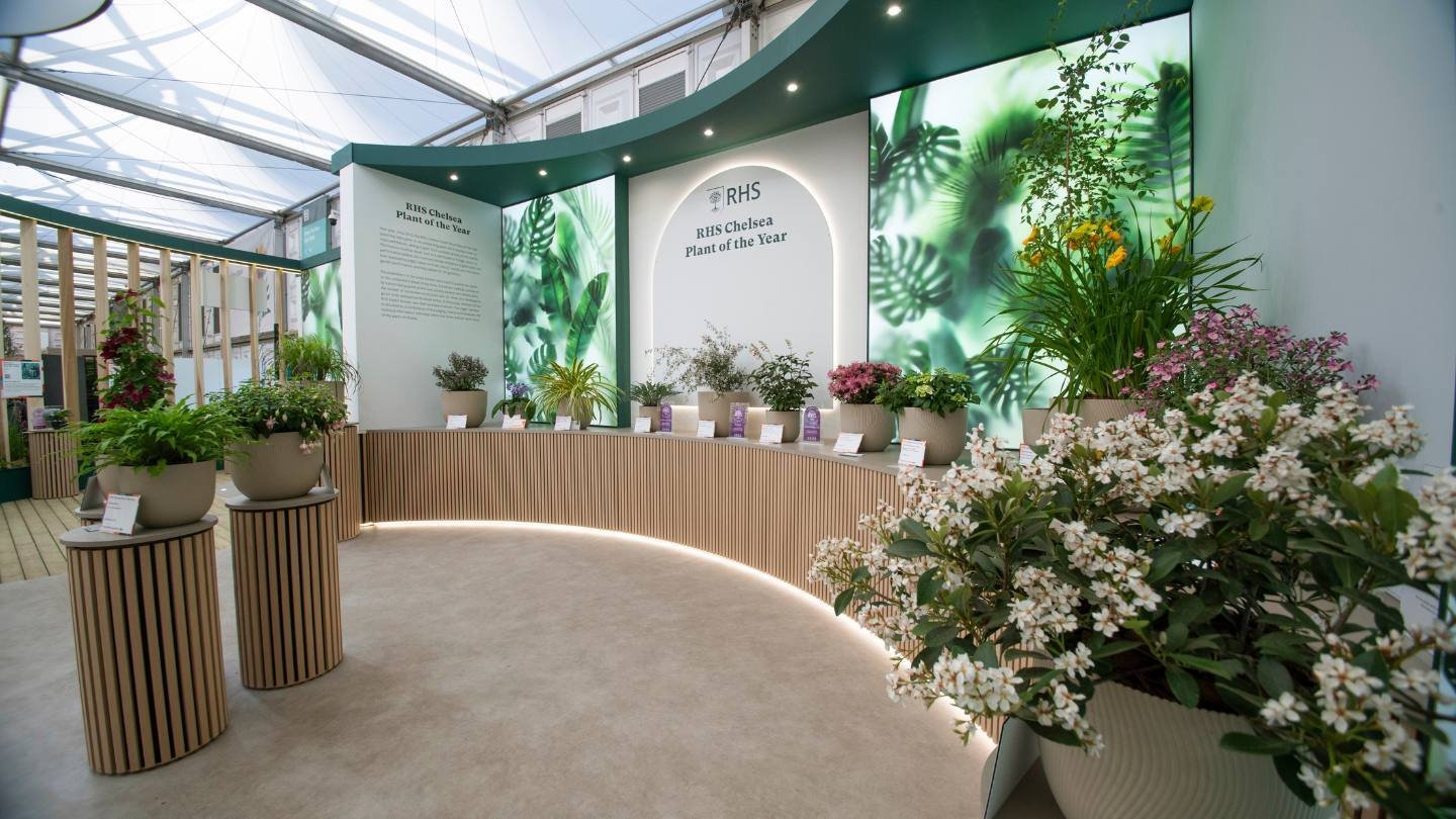 RHS Experience at Chelsea Flower Show