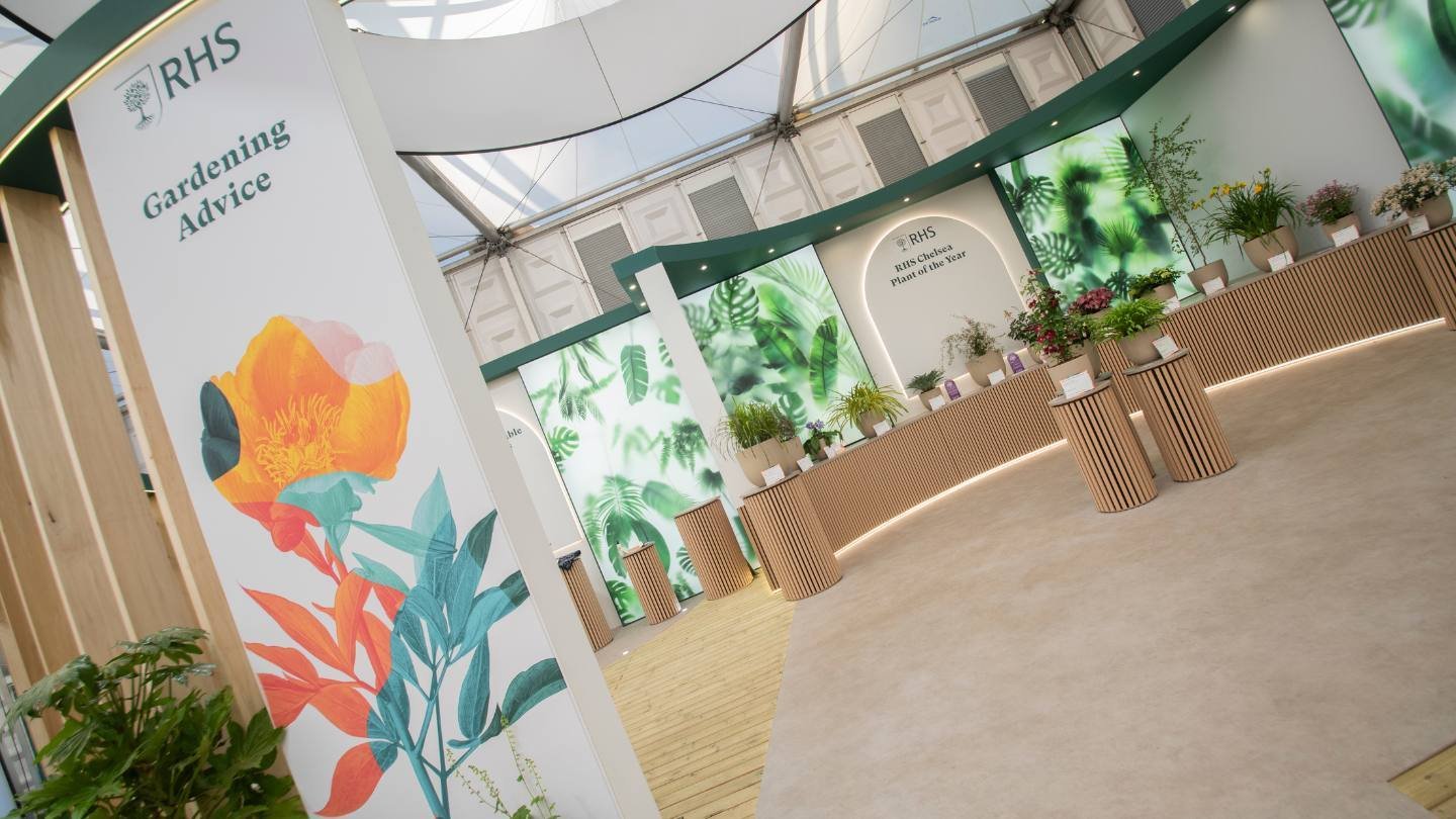 RHS Experience at Chelsea Flower Show