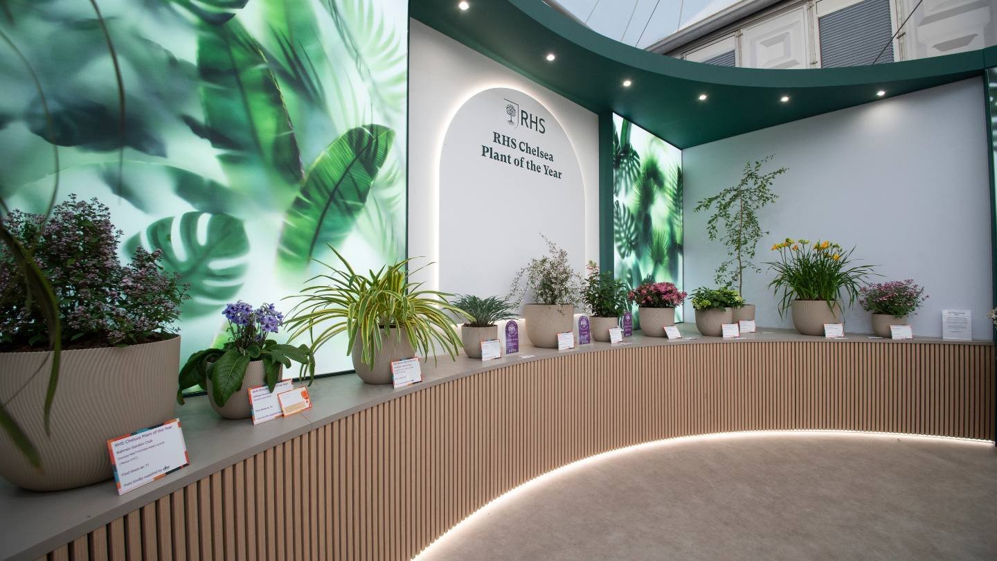 RHS Experience at Chelsea Flower Show